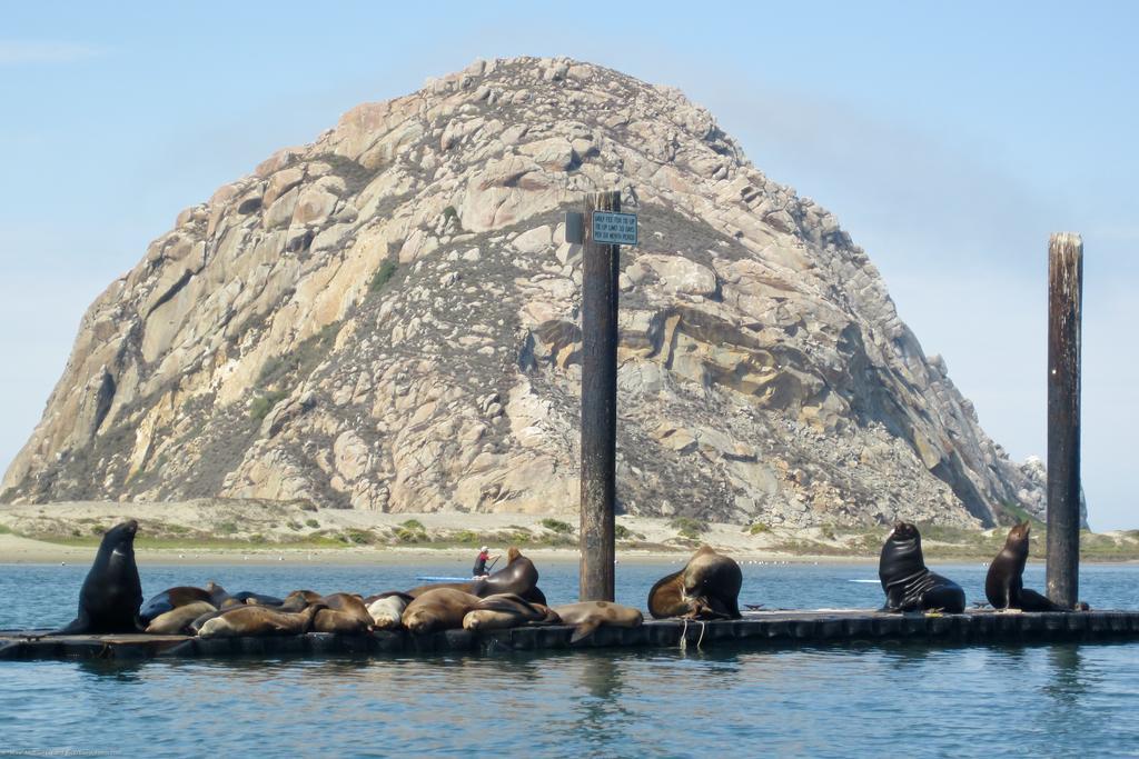 Morro Crest Inn Morro Bay Exterior photo